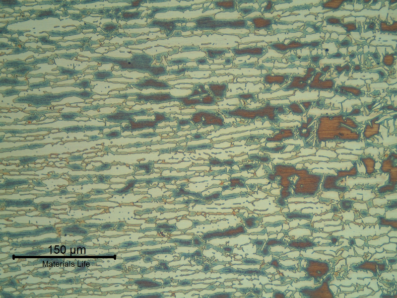 Higher magnification of the pipe heat affected zone. The amount of ferrite increases with the proximity of the fusion line (to the right).