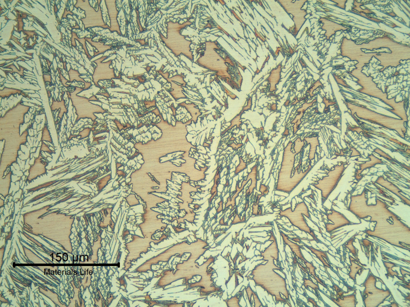 Micrographic detail of the center of the weld metal (fill pass). Duplex ferritic austenitic structure.
