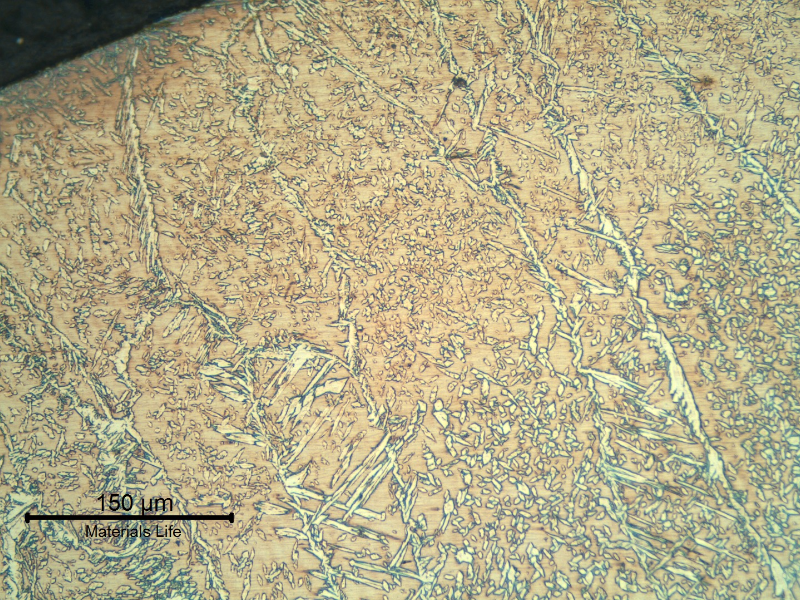 Micrographic detail of the weld metal (cap) at the surface.  A large amount of ferrite is retained by the quick cooling at the surface.