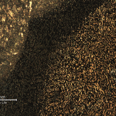 Macrography of the flange HAZ. The macroscopic aspect shows a remarkable modified region.
