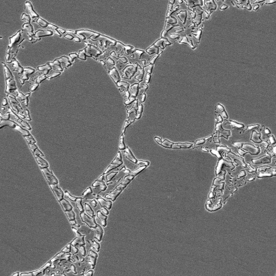 Micrographic detail of the flange base metal presenting a coarse duplex ferritic austenitc structure and detrimental phases associated to the ferritic structure.