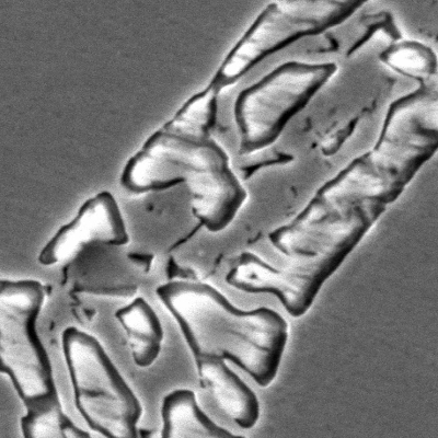 Micrographic detail of the flange base metal presenting a coarse duplex ferritic austenitc structure and detrimental phases associated to the ferritic structure.
