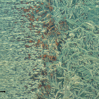 Micrography of the pipe heat affected zone.  In the left the pipe base metal, with banded duplex structure; and in the right the weld metal, with Widmanstatten morphology of the structure.