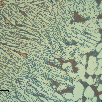 Micrography of the fusion line of the weld in the flange side.