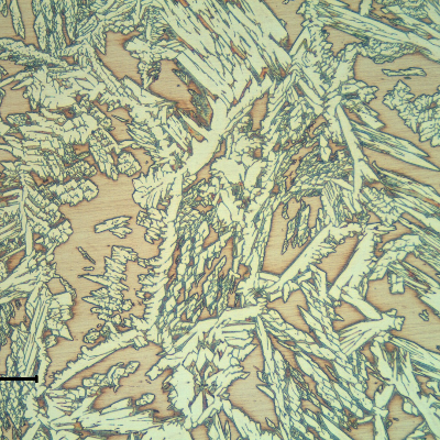 Micrographic detail of the center of the weld metal (fill pass). Duplex ferritic austenitic structure.