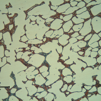 Micrographic detail of the flange base metal presenting a coarse duplex ferritic austenitc structure.