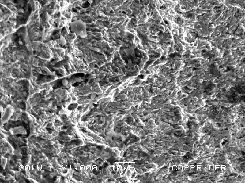 Fracture surface after opening the shell cracking, presenting fatigue striation.  The fracture presents also foreign particles.