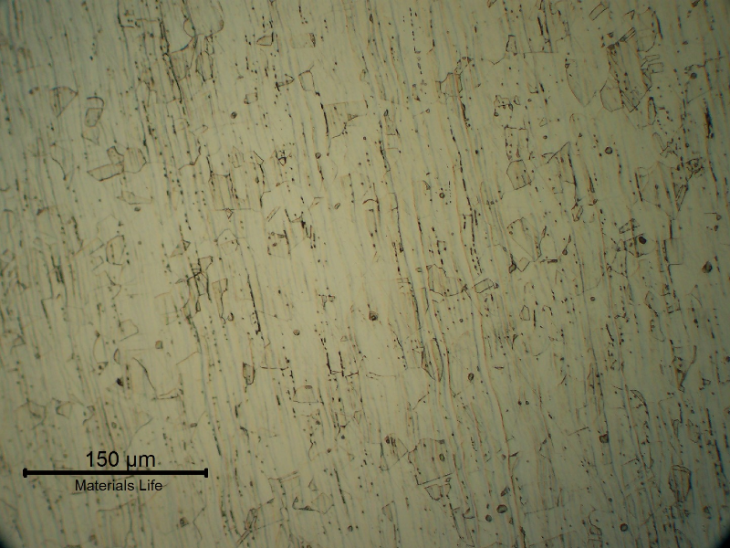 The shell plate micrography showed an austenitic structure.