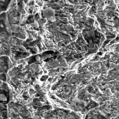 Fracture surface after opening the shell cracking, presenting fatigue striation.  The fracture presents also foreign particles.