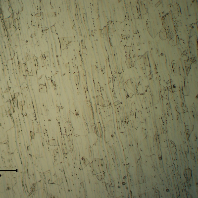 The shell plate micrography showed an austenitic structure.