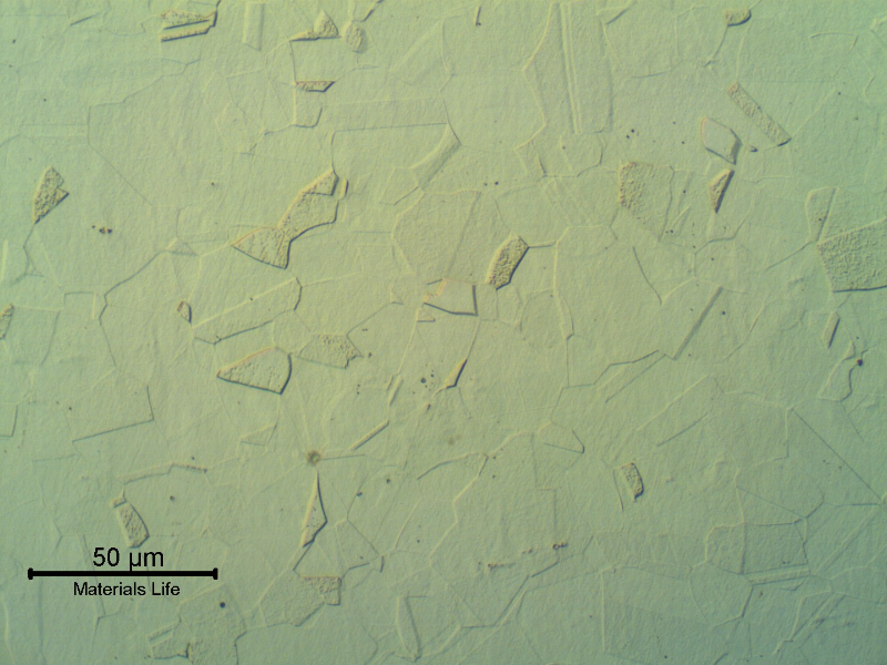 Micrographic detail of the austenitic microstructure of the heat exchanger plate, free from carbides that suggest the adoption of a material in a solution annealed condition, although the high hardness level indicates cold working.