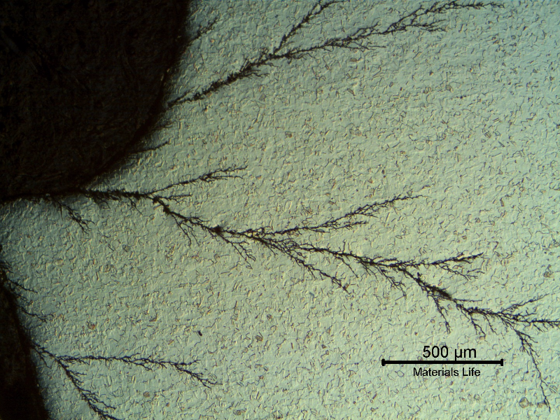 Micrography presenting the transgranular morphology of the stress corrosion cracks of the austenitic plate. EDS analysis at the plate surface indicated high Cl peaks.