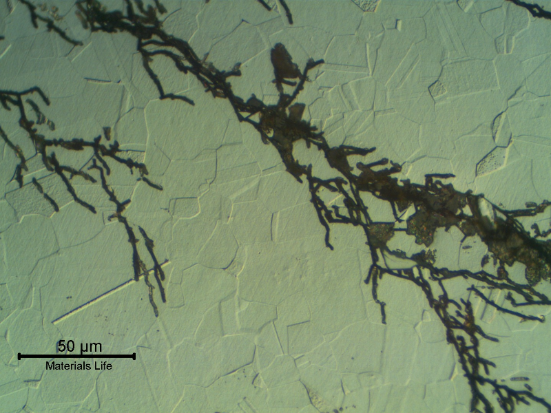 Micrographic detail of a branch transgranular crack typical of CSCC. Moreover, there is no evidence of intergranular precipitation.