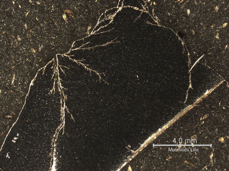 Macrography of the surface of the cracked heat exchanger plate, manufactured in austenitic stainless steel.