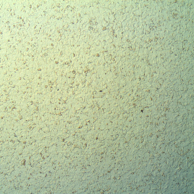 Micrography of the plate material presenting a granular austenitic structure, free from precipitation.
