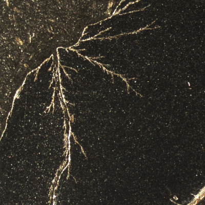 Macrography of the surface of the cracked heat exchanger plate, manufactured in austenitic stainless steel.