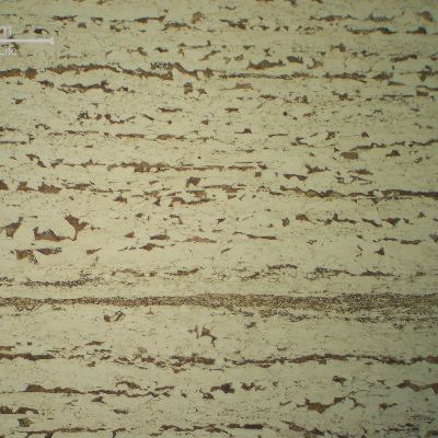 Detail of the microstructure in the center of the plate, in the longitudinal section.  The structure is refined and presents different ferritic grain sizes.