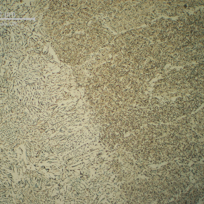 Micrographic detail of the fusion line of the second pass (not reheated).  The HAZ is bainitic and the weld metal microstructure is predominantly formed by acicular ferrite.