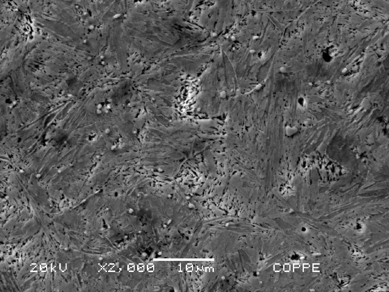 Tempered martensitic microstructure of the knife observed in a transverse section micrography. There are also secondary carbides (white globules) that increase the material wear resistance.