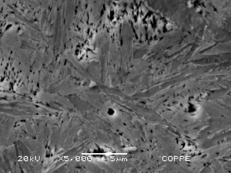 Detail of the tempered martensitic microstructure with secondary carbides of the knife, observed in a transverse section micrography.
