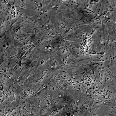 Tempered martensitic microstructure of the knife observed in a transverse section micrography.  There are also secondary carbides (white globules) that increase the material wear resistance.