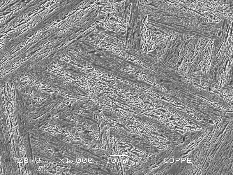Micrographic detail of the original casting blade structure. The tempered martensite is more clearly revealed by the scanning electron microscopy. The average hardness level measured in this side is 270 HV.
