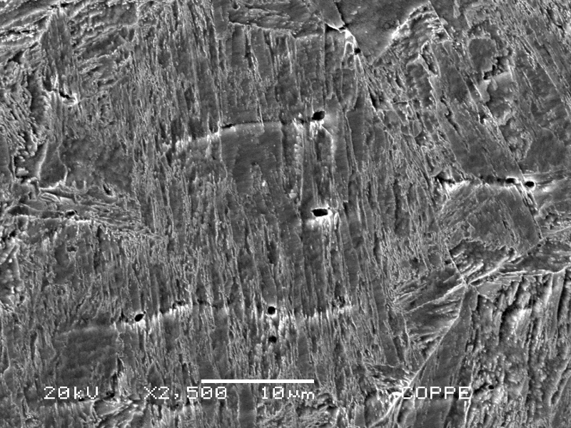Micrographic detail of the inserted casting at the fusion line, presenting the tempered martensitic structure and the interdendritic delta ferrite islands.