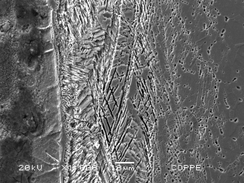 The scanning electron microscopy image details the strain hardened layer with carbide precipitation at twins, in the stainless steel side very close to the interface.