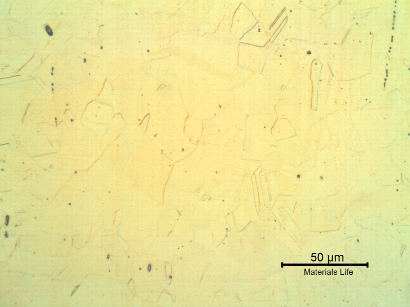 Micrography of a longitudinal section of the pipe showing the stainless steel pipe , external.