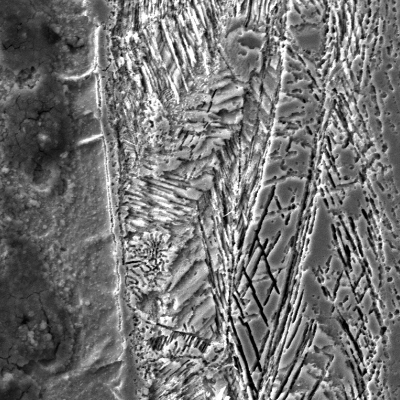 The scanning electron microscopy image details the strain hardened layer with carbide precipitation at twins, in the stainless steel side very close to the interface.