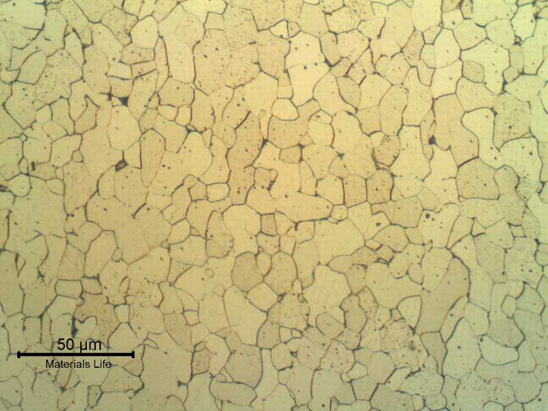 Detail of the longitudinal section of the ring, showing a fully ferritic structure.