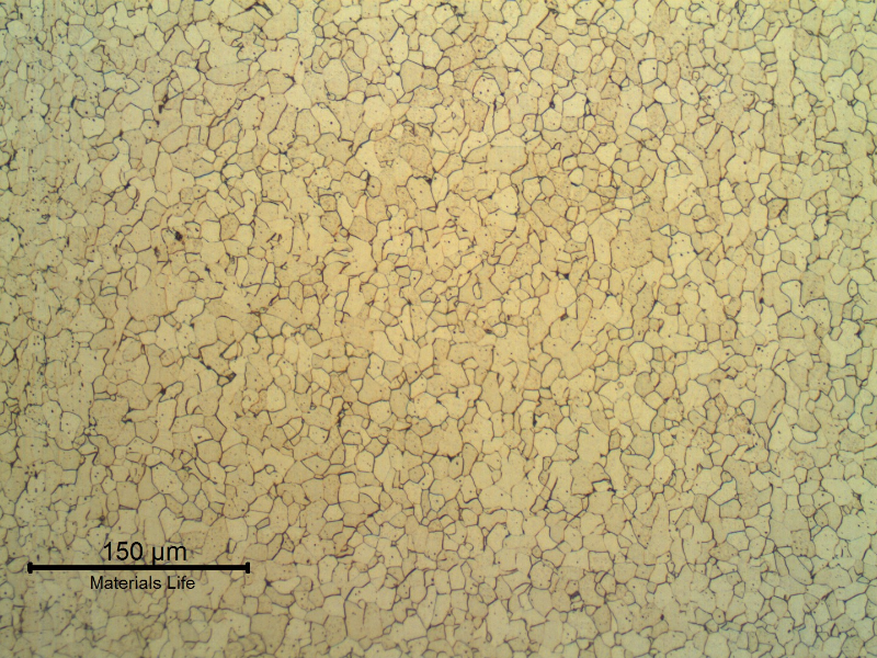 Longitudinal section of the ring, showing a fully ferritic structure.