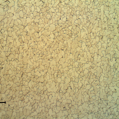 Longitudinal section of the ring, showing a fully ferritic structure.