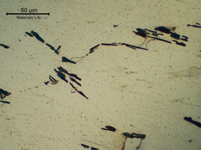 Micrography of the cast Aluminum alloy (AlSnCuNi) typically adopted for bearing applications.