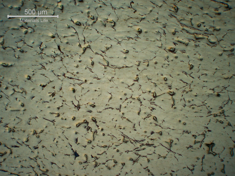 Micrography of the cast Aluminum alloy (AlSnCuNi) typically adopted for bearing applications.