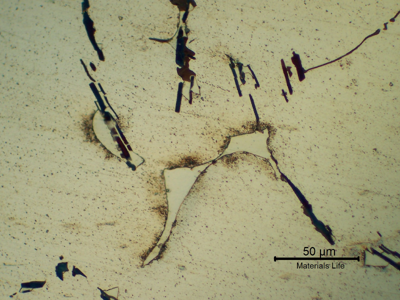 Micrography of the cast Aluminum alloy (AlSnCuNi) typically adopted for bearing applications.