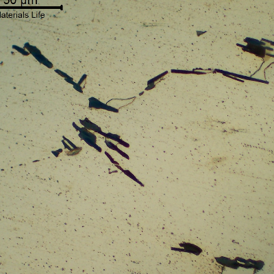 Micrography of the cast Aluminum alloy (AlSnCuNi) typically adopted for bearing applications.