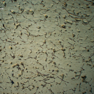 Micrography of the cast Aluminum alloy (AlSnCuNi) typically adopted for bearing applications.