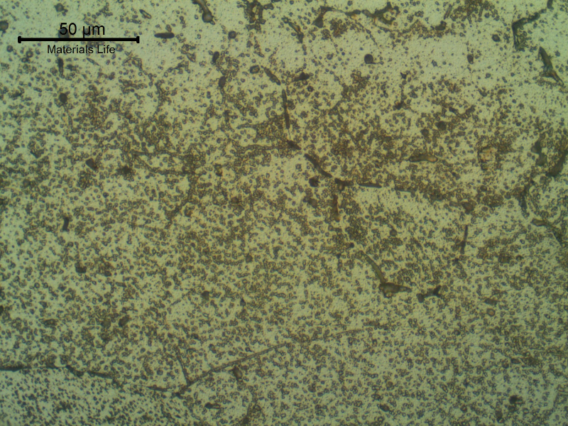 Micrographic detail of of the Fusion Line of the AA 6063 pipe, presenting strong precipitation.
