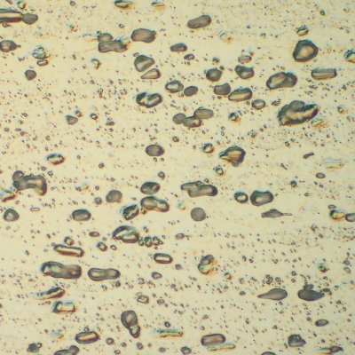 Micrographic detail of a longitudinal section of the pipe AA 3003. Granular structure and dispersed particles.