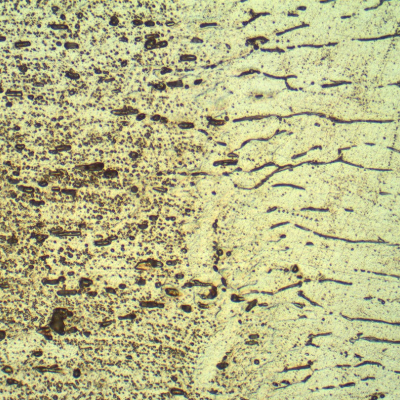 Micrography of the Fusion Line of the AA 3003 pipe, presenting a narrow HAZ.