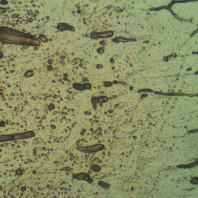 Micrographic detail of the Fusion Line of the AA 3003 pipe, presenting a narrow HAZ.