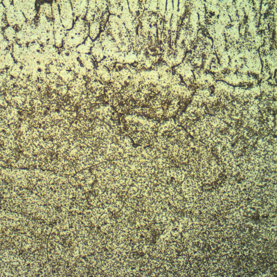 Micrography of the Fusion Line of the AA 6063 pipe, presenting strong precipitation.