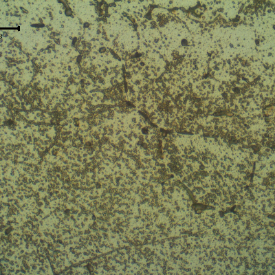 Micrographic detail of of the Fusion Line of the AA 6063 pipe, presenting strong precipitation.