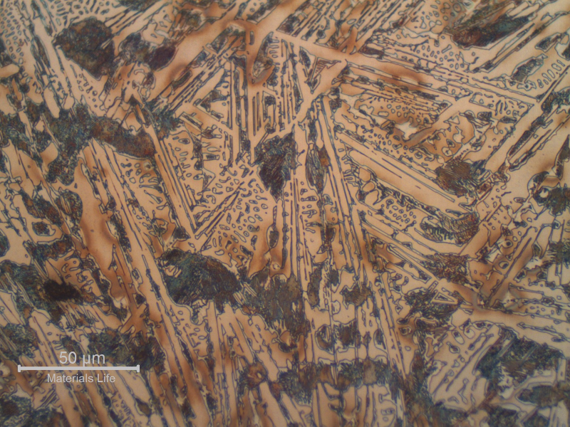 Micrographic detail of the chilled structure. Primary carbides, ledeburite and perlite islands.