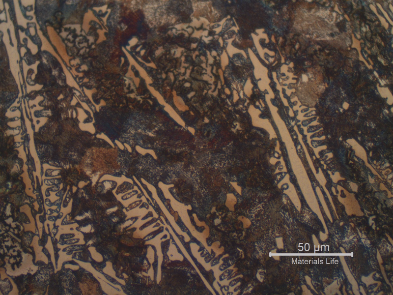 Micrographic detail of the intermediary position of the shaft thickness (T/4). The amount of perlite increases in the matrix and primary carbides decreases compared with the chilled surface.