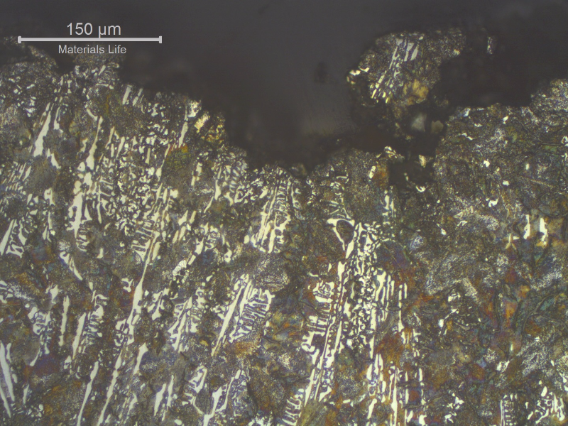 Micrography transverse to the fracture, showing that the region that broke presented in the shaft thickness a large amount of brittle structures (ledeburite), that suggest a too large extension of the chill effect.