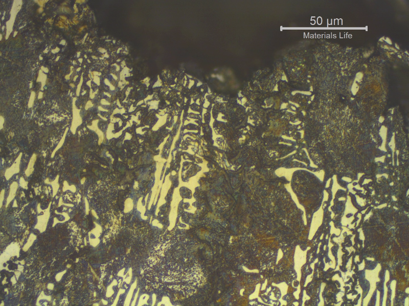 Micrographic detail of the structure in a section transverse to the fracture, showing that the brittle region in the shaft is associated to a large amount of ledeburite.