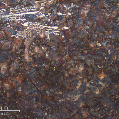 In the center of the shaft thickness the structure is perlitic with graphite in flakes, but there are also islands of ledeburite.