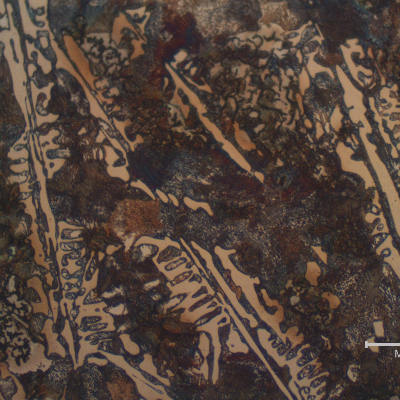 Micrographic detail of the intermediary position of the shaft thickness (T/4). The amount of perlite increases in the matrix and primary carbides decreases compared with the chilled surface.